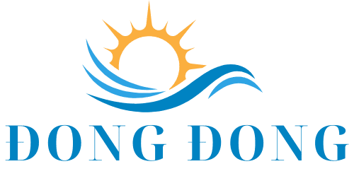 dongdongocean.com